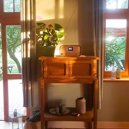 Ferienhaus Salvia Gremersdorf-Buchholz エクステリア 写真
