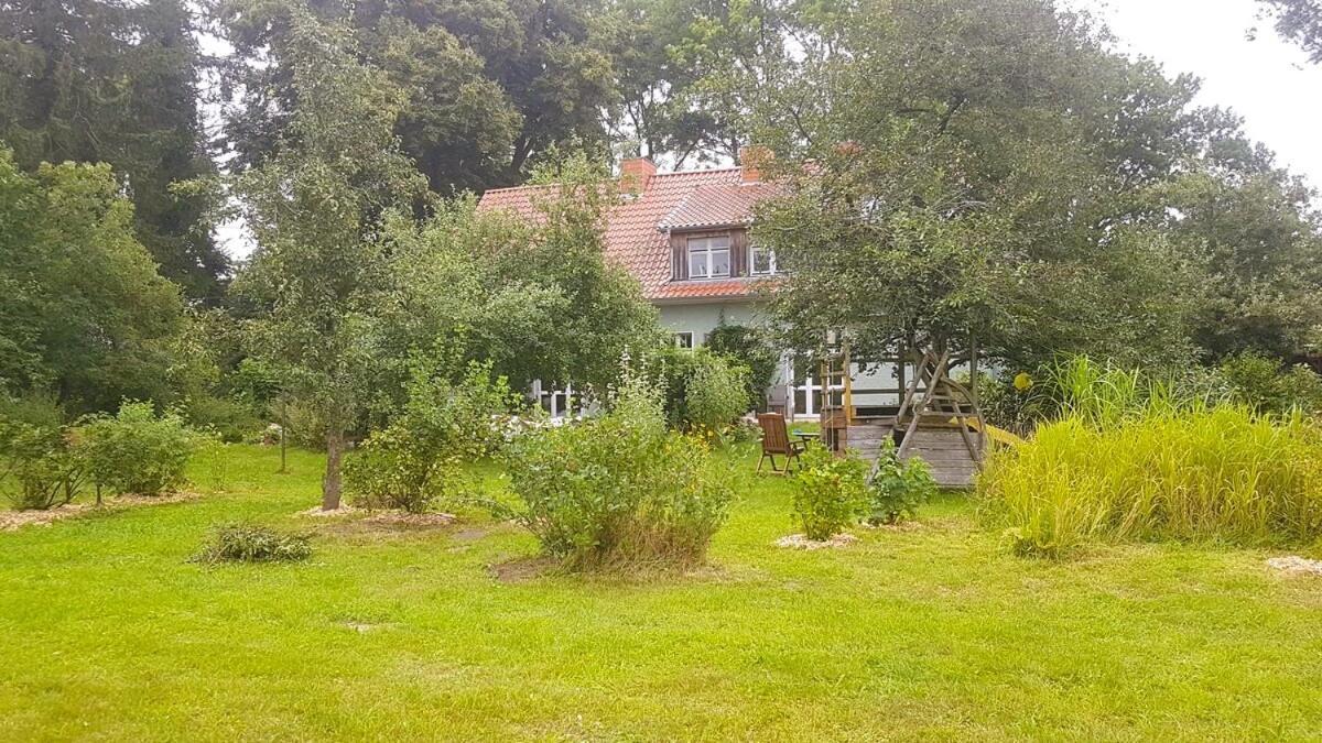 Ferienhaus Salvia Gremersdorf-Buchholz エクステリア 写真