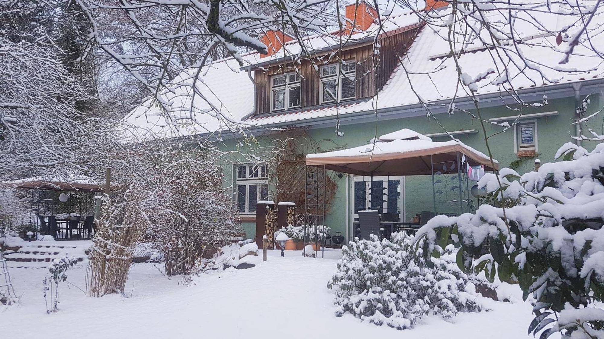 Ferienhaus Salvia Gremersdorf-Buchholz エクステリア 写真