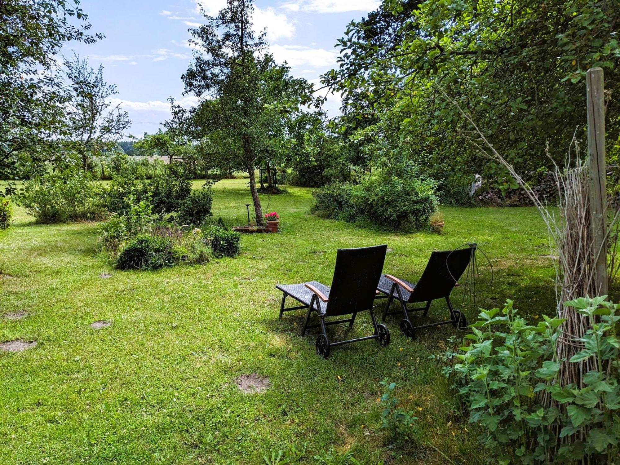 Ferienhaus Salvia Gremersdorf-Buchholz エクステリア 写真