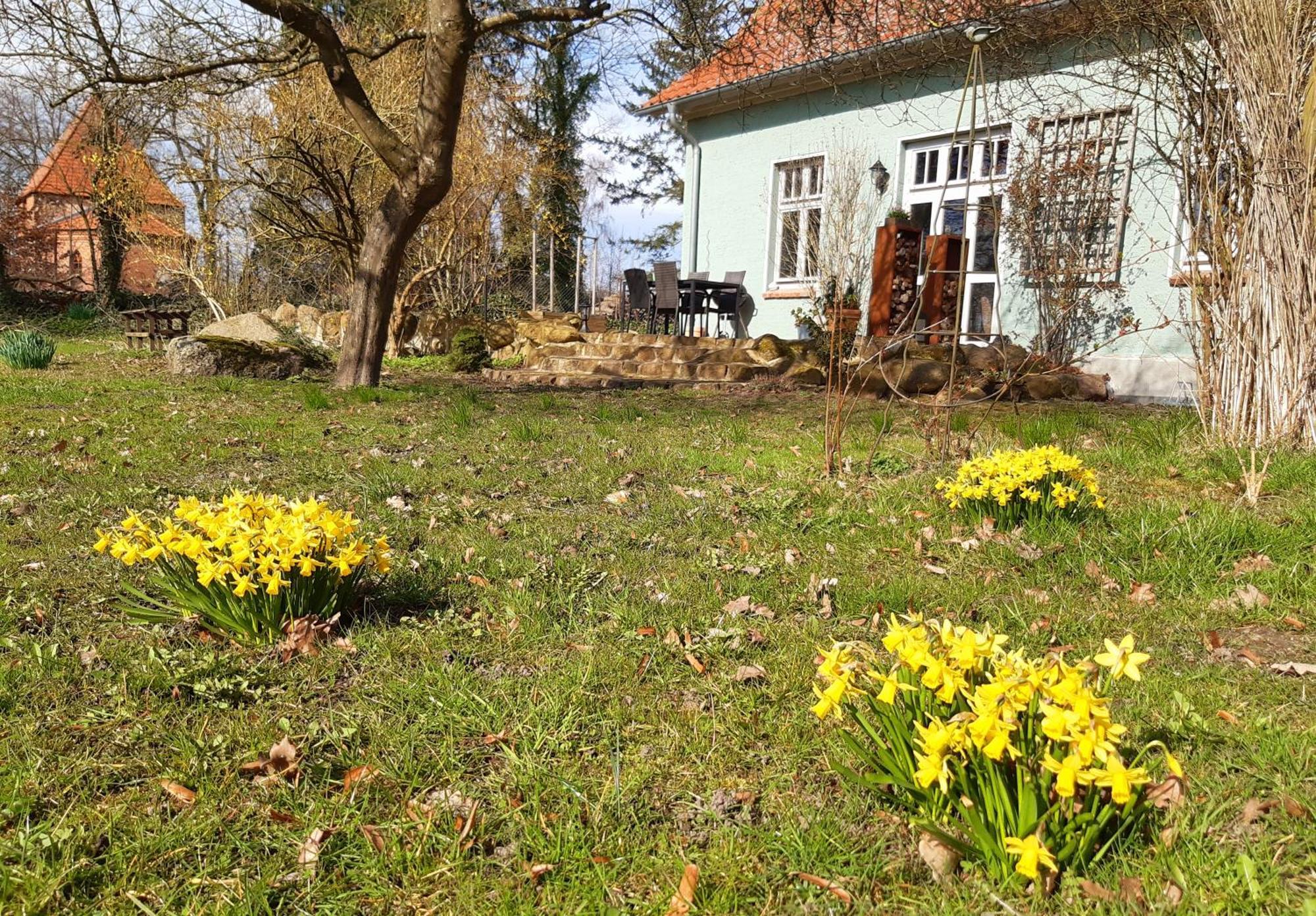 Ferienhaus Salvia Gremersdorf-Buchholz エクステリア 写真