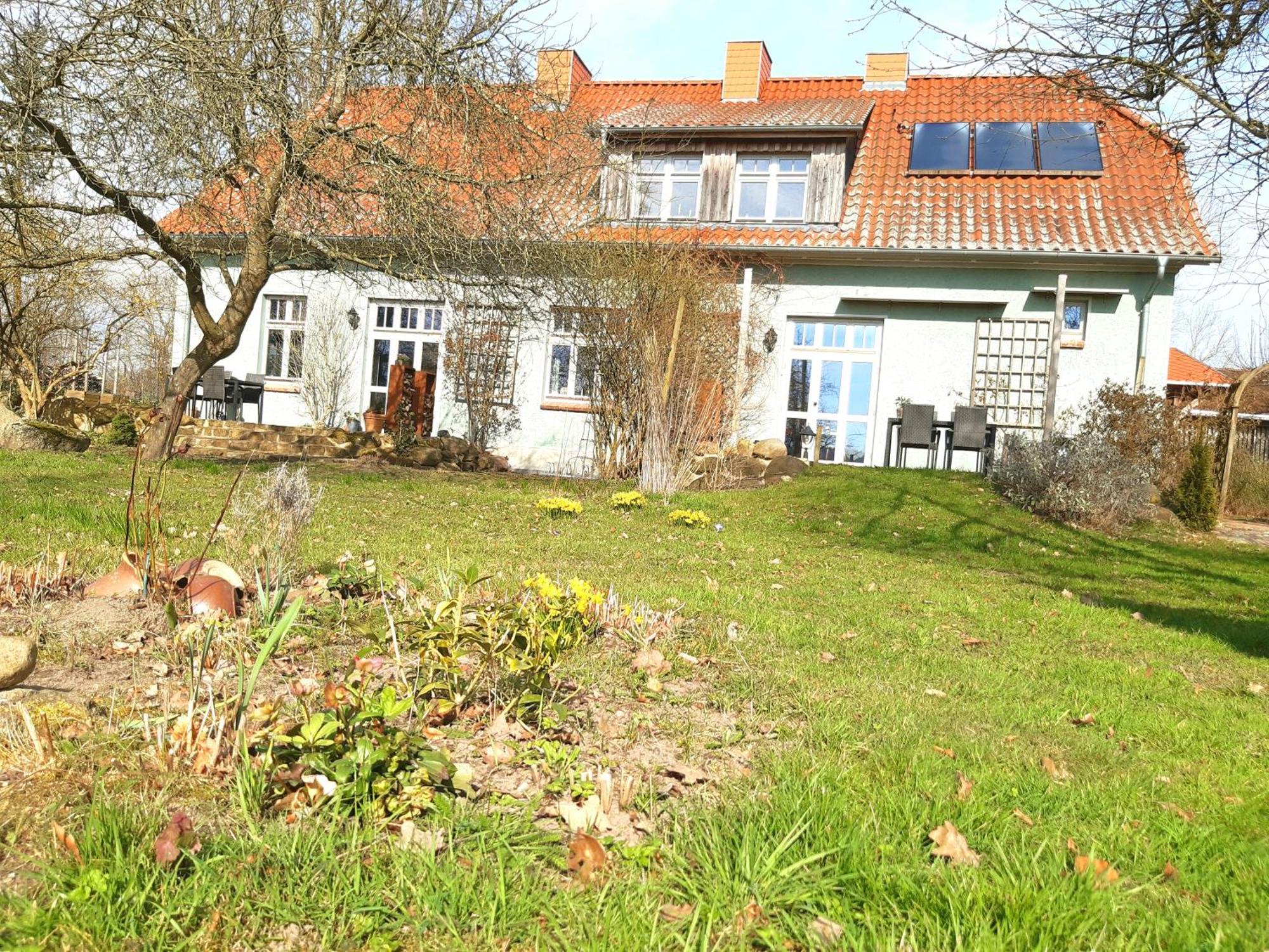Ferienhaus Salvia Gremersdorf-Buchholz エクステリア 写真